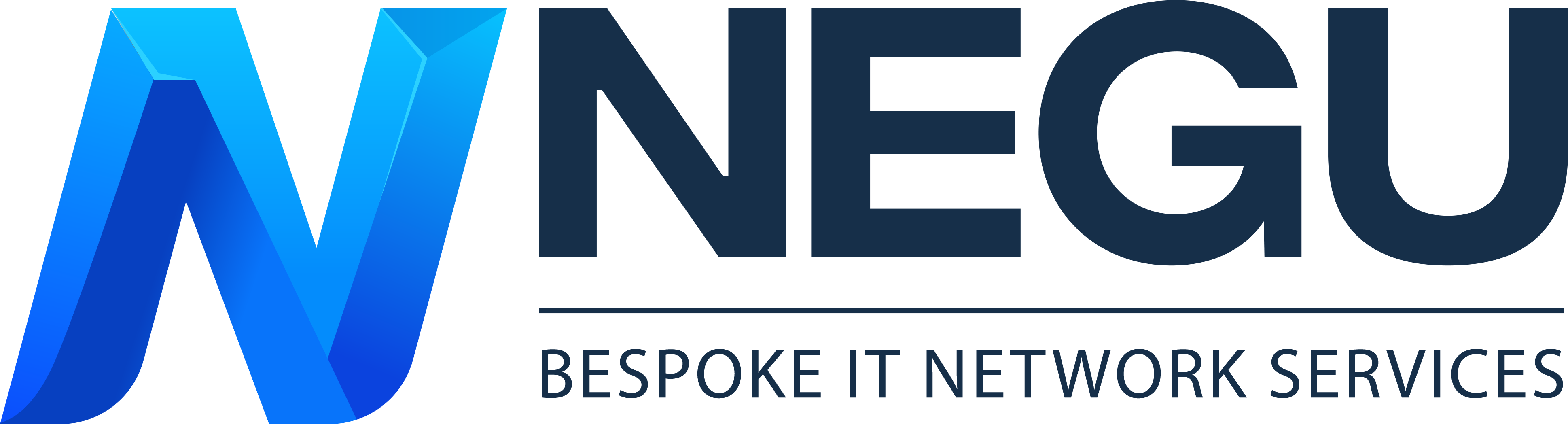 NEGU BESPOKE IT NETWORK SERVICES